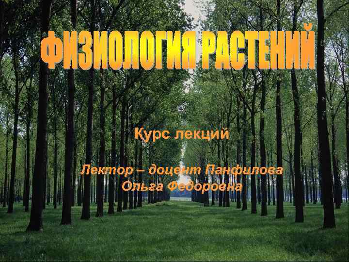 Курс лекций Лектор – доцент Панфилова Ольга Федоровна 