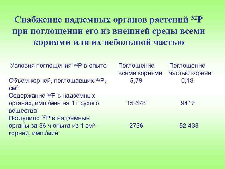 Снабжение надземных органов растений 32 Р при поглощении его из внешней среды всеми корнями