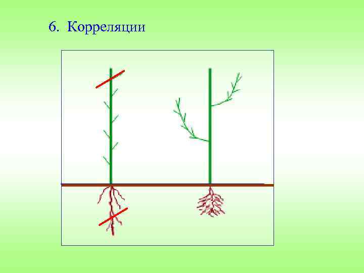 6. Корреляции 