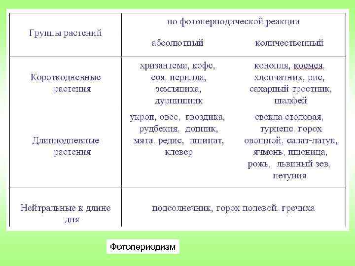 Фотопериодизм 