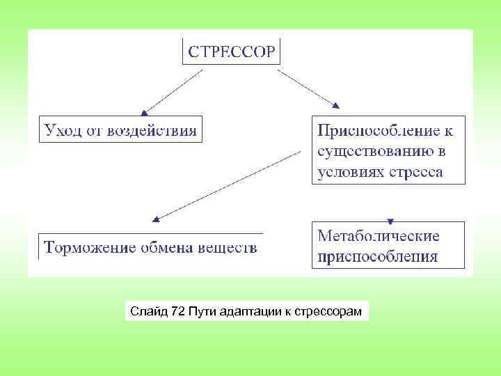 Слайд 72 Пути адаптации к стрессорам 