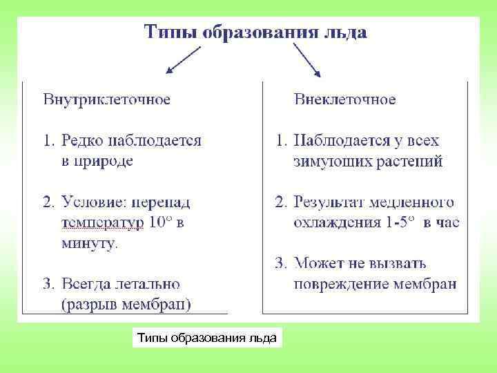 Типы образования льда 