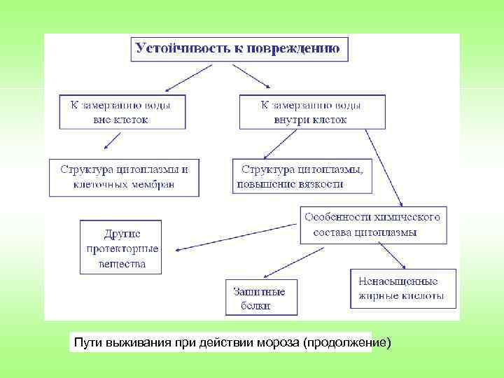 Пути выживания при действии мороза (продолжение) 