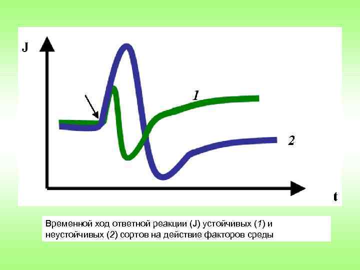 Временной ход ответной реакции (J) устойчивых (1) и неустойчивых (2) сортов на действие факторов