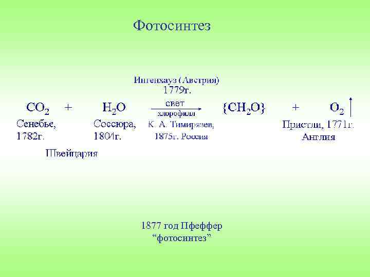 Фотосинтез 1877 год Пфеффер “фотосинтез” 