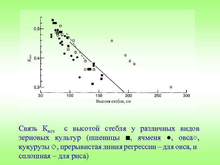 Связь Кхоз с высотой стебля у различных видов зерновых культур (пшеницы , ячменя ●,