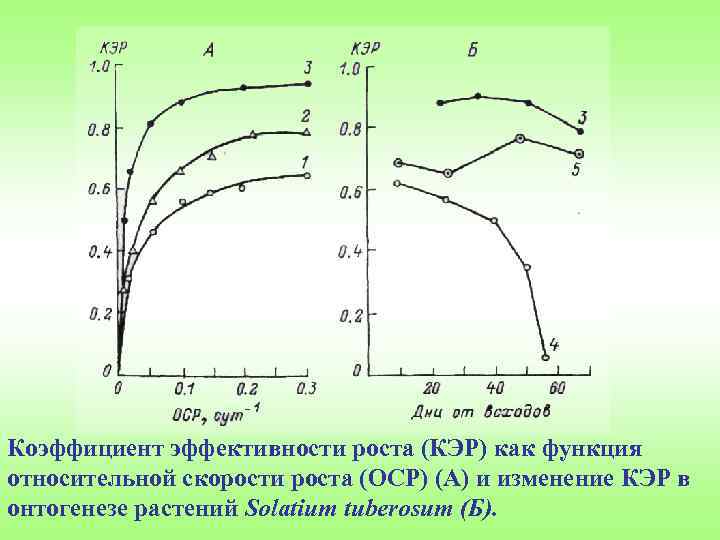 Коэффициент эффективности роста (КЭР) как функция относительной скорости роста (ОСР) (А) и изменение КЭР