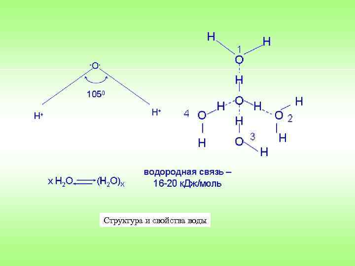 Структура и свойства воды 