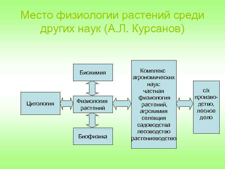 Физиология растений читать