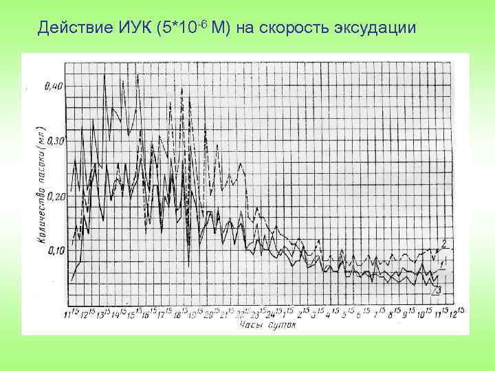 Действие ИУК (5*10 6 М) на скорость эксудации 