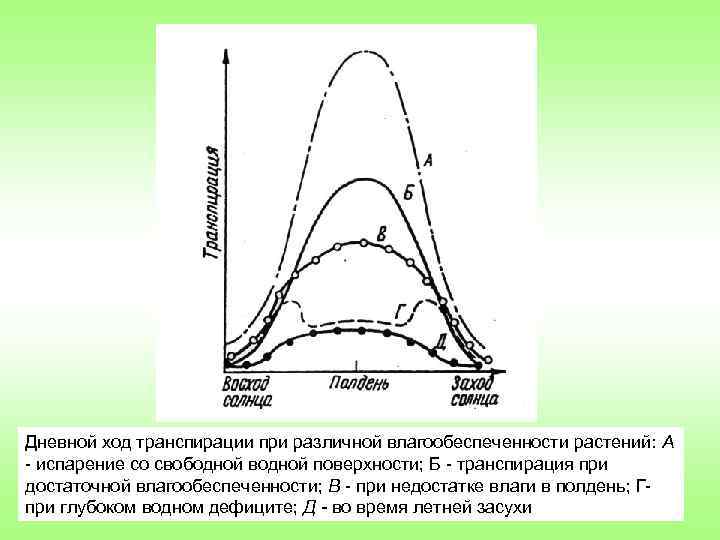 Дневной ход транспирации при различной влагообеспеченности растений: А испарение со свободной водной поверхности; Б