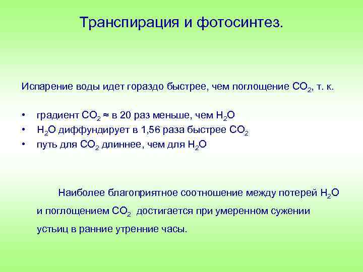 Угнетает процесс фотосинтеза транспирация. Транспирация и фотосинтез. Транспирация у растений это. Транспирация угнетает фотосинтез. Значение транспирации для растений.