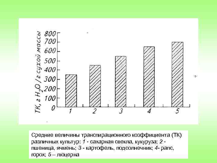 Средние величины транспирационного коэффициента (ТК) различных культур: 1 сахарная свекла, кукуруза; 2 пшеница, ячмень;