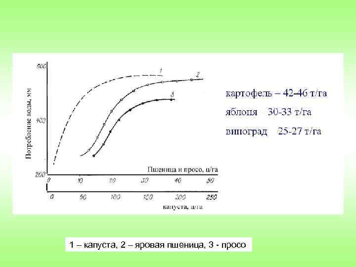 1 – капуста, 2 – яровая пшеница, 3 просо 