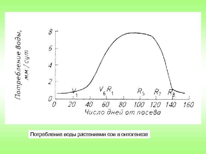 Потребление воды растениями сои в онтогенезе 