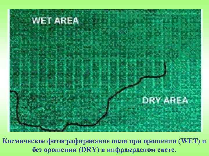 Космическое фотографирование поля при орошении (WET) и без орошении (DRY) в инфракрасном свете. 