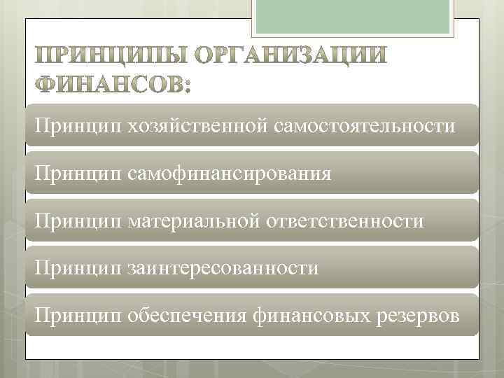Принцип хозяйственной самостоятельности Принцип самофинансирования Принцип материальной ответственности Принцип заинтересованности Принцип обеспечения финансовых резервов