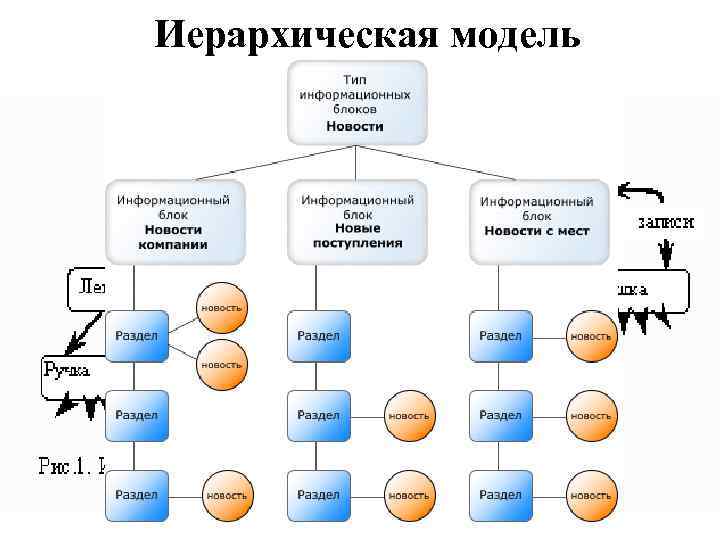 Структура идентична структуре. Информационный блок. Структура интернет магазина по блокам. Информационный блок для сайта. Информационная модель ИНФОБЛОК.