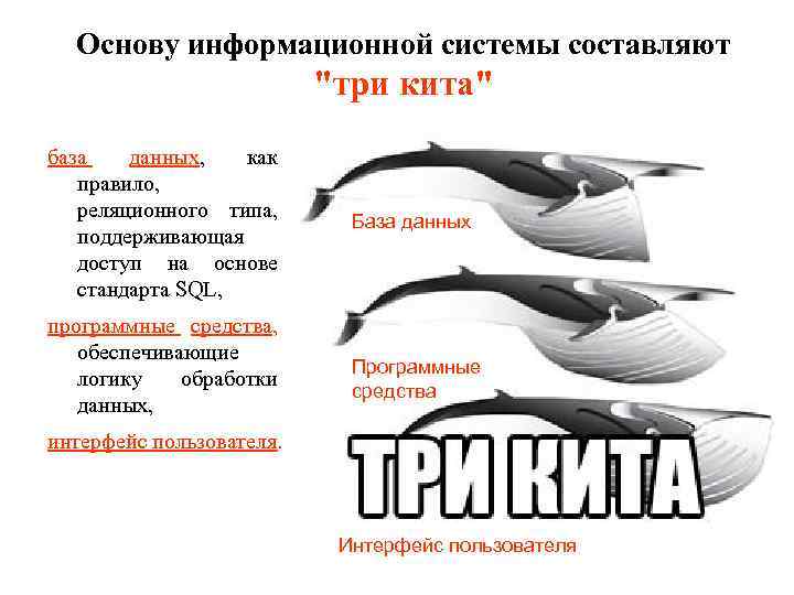 Основу информационной системы составляют 