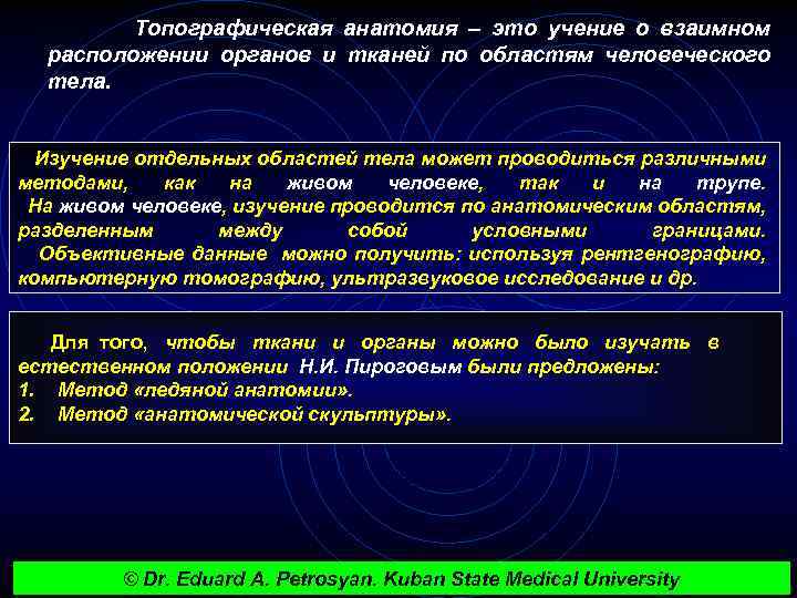  Топографическая анатомия – это учение о взаимном расположении органов и тканей по областям