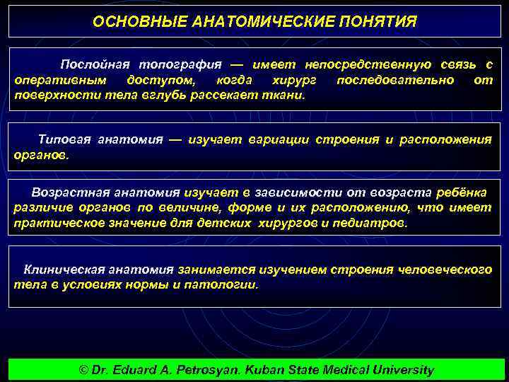 ОСНОВНЫЕ АНАТОМИЧЕСКИЕ ПОНЯТИЯ Послойная топография — имеет непосредственную связь с оперативным доступом, когда хирург