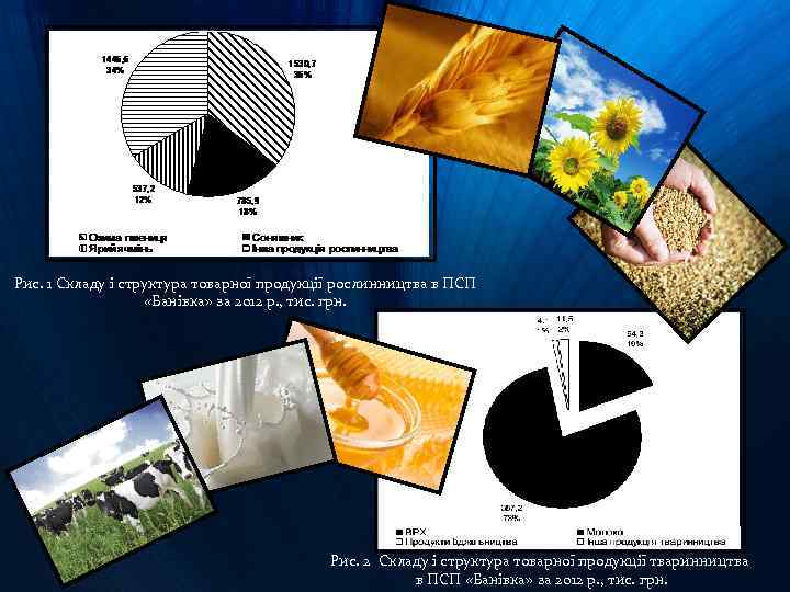 Рис. 1 Складу і структура товарної продукції рослинництва в ПСП «Банівка» за 2012 р.