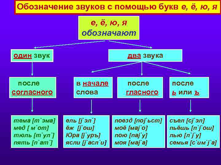 Обозначение звуков с помощью букв е, ё, ю, я обозначают один звук после согласного