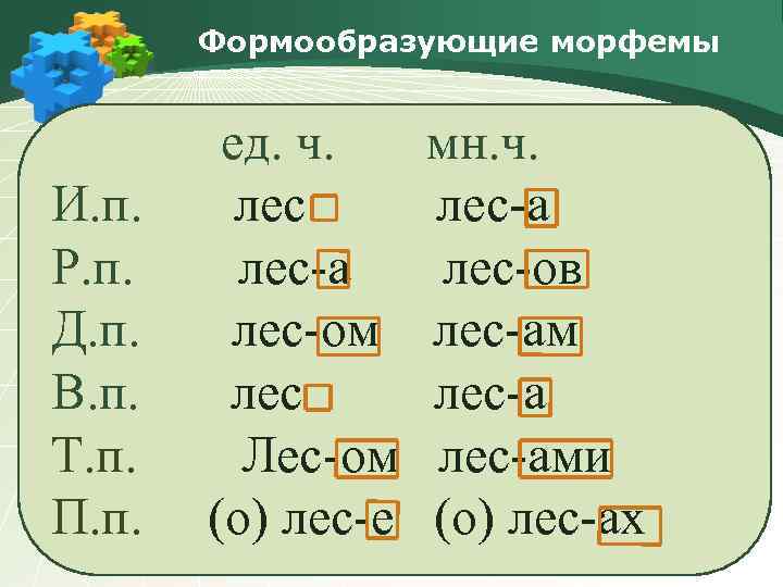 Формообразующие морфемы И. п. Р. п. Д. п. В. п. Т. п. П. п.