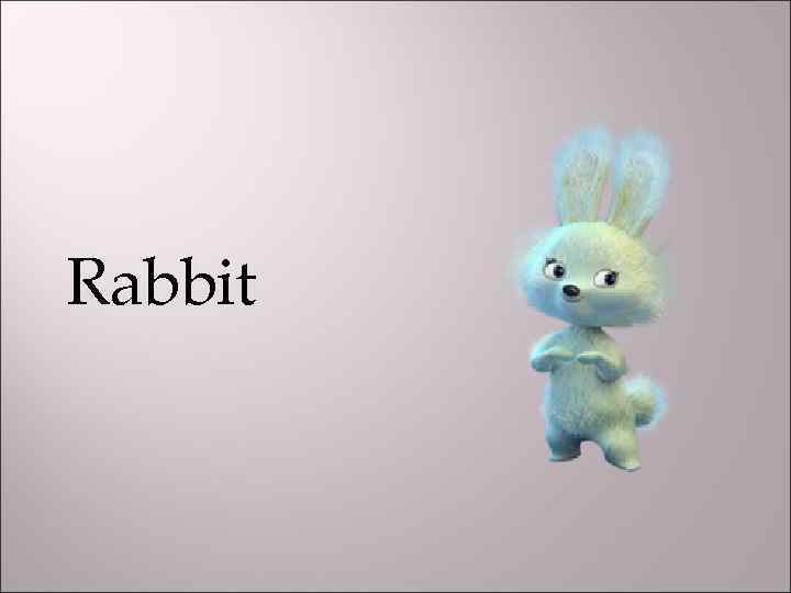 Rabbit 