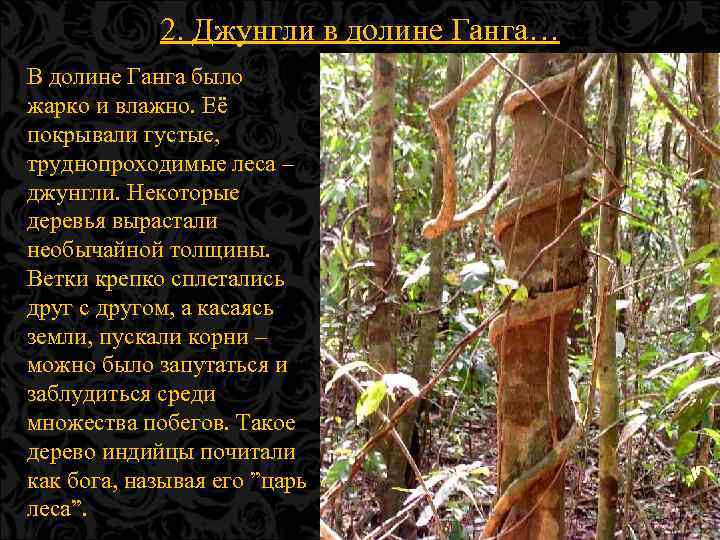 2. Джунгли в долине Ганга… В долине Ганга было жарко и влажно. Её покрывали