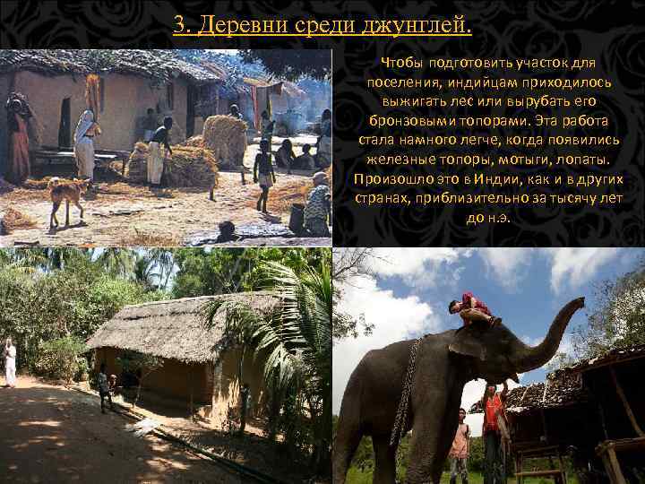 3. Деревни среди джунглей. Чтобы подготовить участок для поселения, индийцам приходилось выжигать лес или