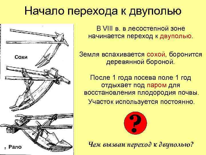 Начало перехода к двуполью В VIII в. в лесостепной зоне начинается переход к двуполью.