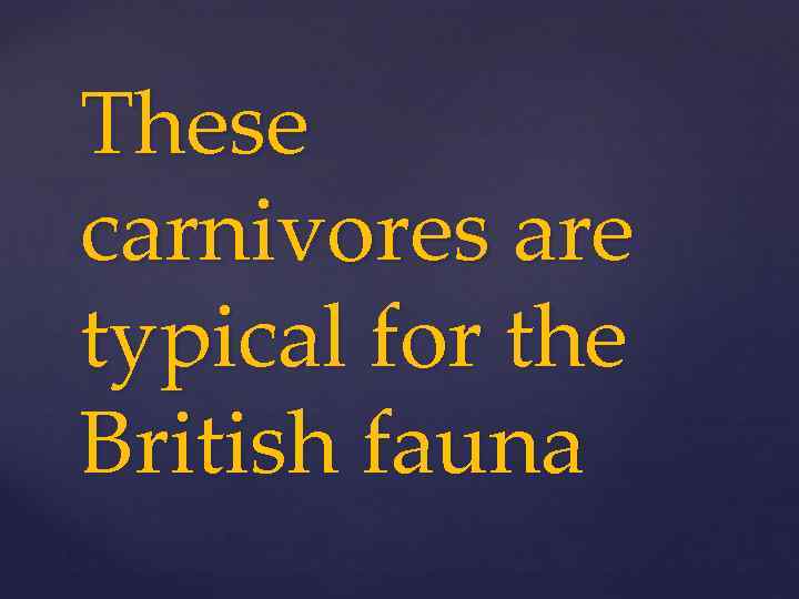 These carnivores are typical for the British fauna 