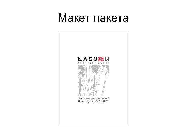Макет пакета 