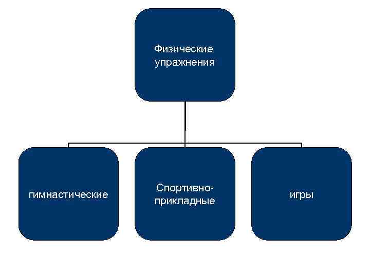Физические упражнения гимнастические Спортивноприкладные игры 