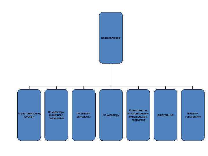 гимнастические По анатомическому признаку По характеру мышечного сокращения По степени активности По характеру В