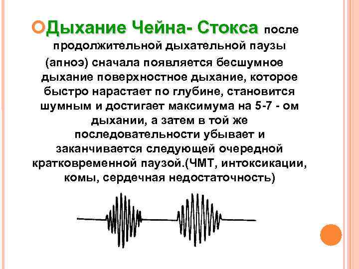  Дыхание Чейна- Стокса после Дыхание Чейна- Стокса продолжительной дыхательной паузы (апноэ) сначала появляется