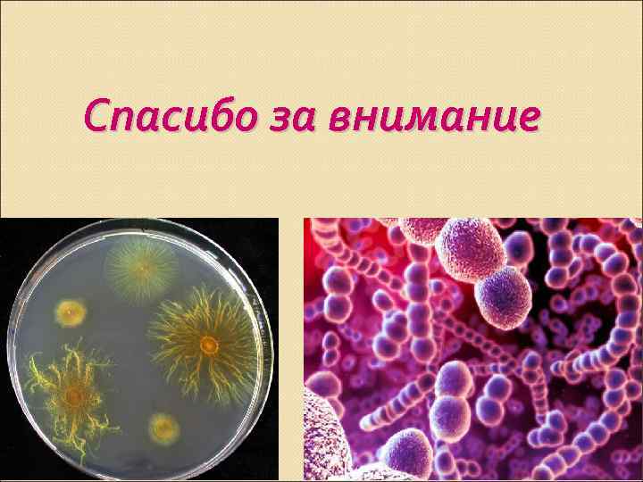 Спасибо за внимание 