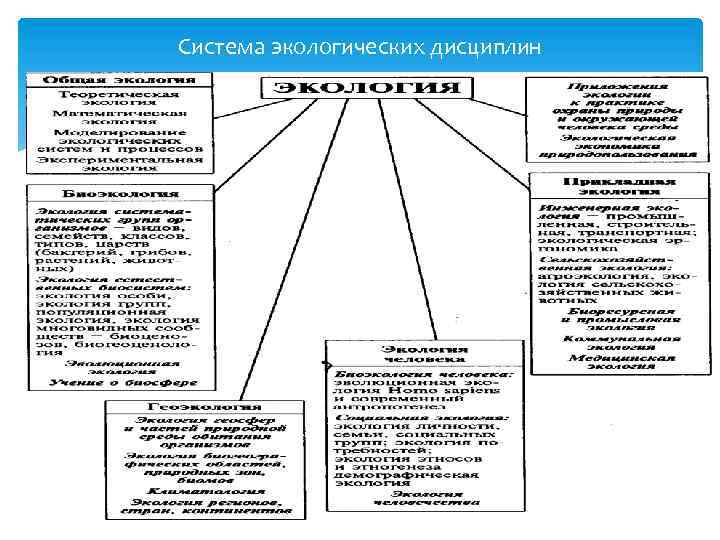 Система экологических дисциплин 