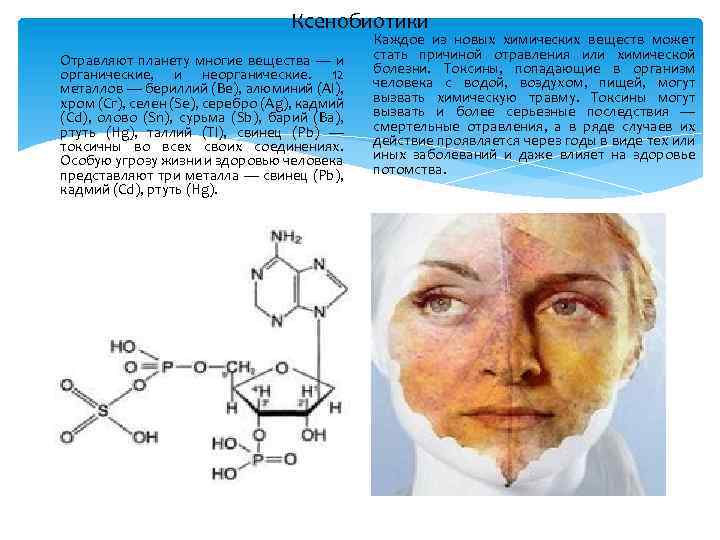 Ксенобиотики Отравляют планету многие вещества — и органические, и неорганические. 12 металлов — бериллий