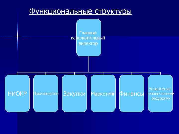 Функциональные структуры Главный исполнительный директор НИОКР Производство Закупки Маркетинг Финансы Управление человеческими ресурсами 