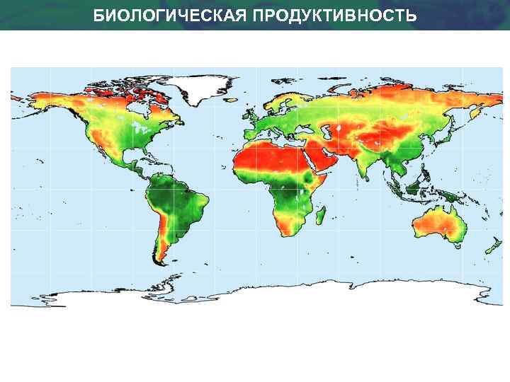 БИОЛОГИЧЕСКАЯ ПРОДУКТИВНОСТЬ 