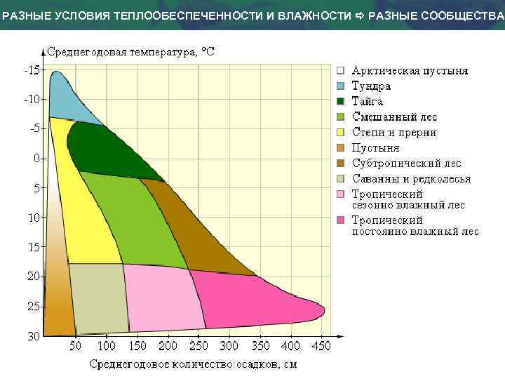 РАЗНЫЕ УСЛОВИЯ ТЕПЛООБЕСПЕЧЕННОСТИ И ВЛАЖНОСТИ РАЗНЫЕ СООБЩЕСТВА 