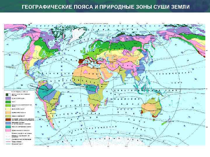 ГЕОГРАФИЧЕСКИЕ ПОЯСА И ПРИРОДНЫЕ ЗОНЫ СУШИ ЗЕМЛИ 