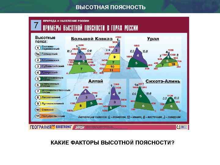 ВЫСОТНАЯ ПОЯСНОСТЬ КАКИЕ ФАКТОРЫ ВЫСОТНОЙ ПОЯСНОСТИ? 