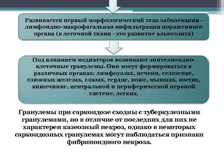 Развивается первый морфологический этап заболевания - лимфоидно-макрофагальная инфильтрация пораженного органа (в легочной ткани -