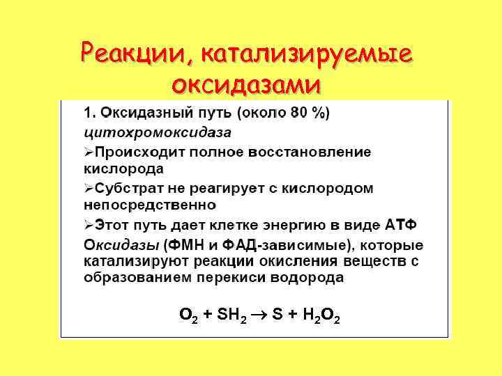 Реакции, катализируемые оксидазами О 2 + SH 2 S + Н 2 О 2