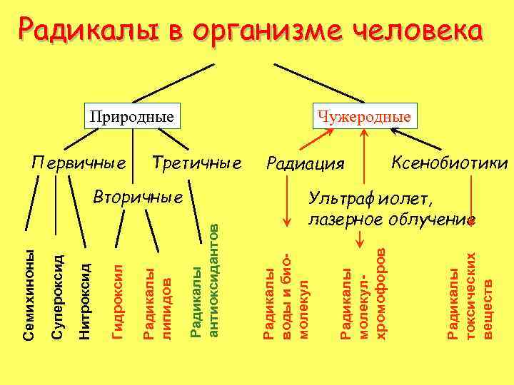 Вторичные Радиация Радикалы токсических веществ Природные Радикалы молекулхромофоров Третичные Радикалы воды и биомолекул Радикалы