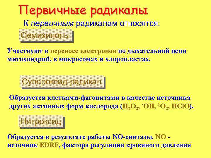 Первичные радикалы К первичным радикалам относятся: Семихиноны Участвуют в переносе электронов по дыхательной цепи