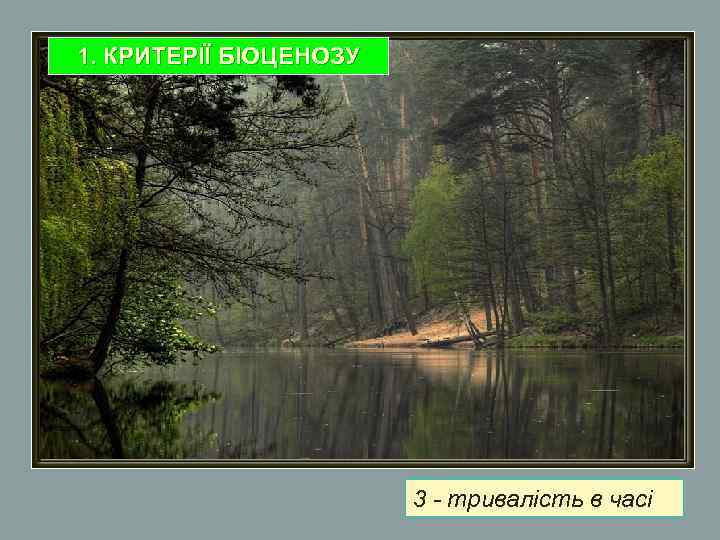 1. КРИТЕРІЇ БІОЦЕНОЗУ 3 - тривалість в часі 
